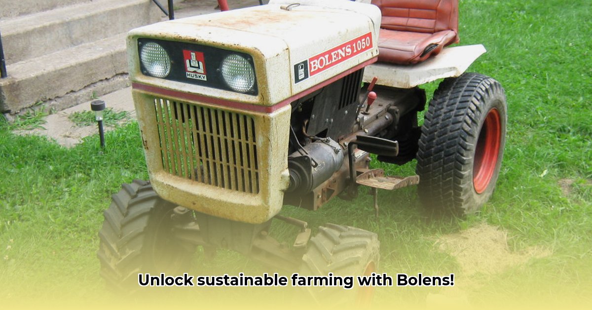 bolens-garden-tractor